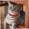 Kichvoe 2-Piece Halloween Cat Collar Set, Adjustable Bat-Wing Style view 3