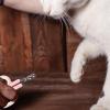 Professional Cat Nail Clipper view 2