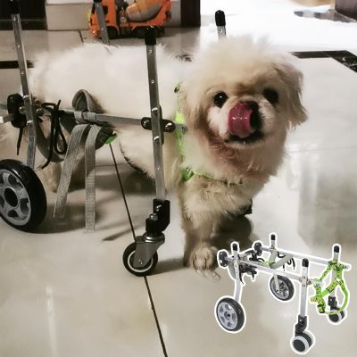 Generic Adjustable Dog Wheelchair for All Four Legs, Lightweight Pet Cart for Small Dogs and Cats, Front and Hind Leg Support, Includes Leash