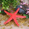 Vynetra Decorative Silicone Starfish Ornament for Aquariums view 4