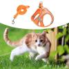 Adjustable Dog Harness and Leash Set view 3
