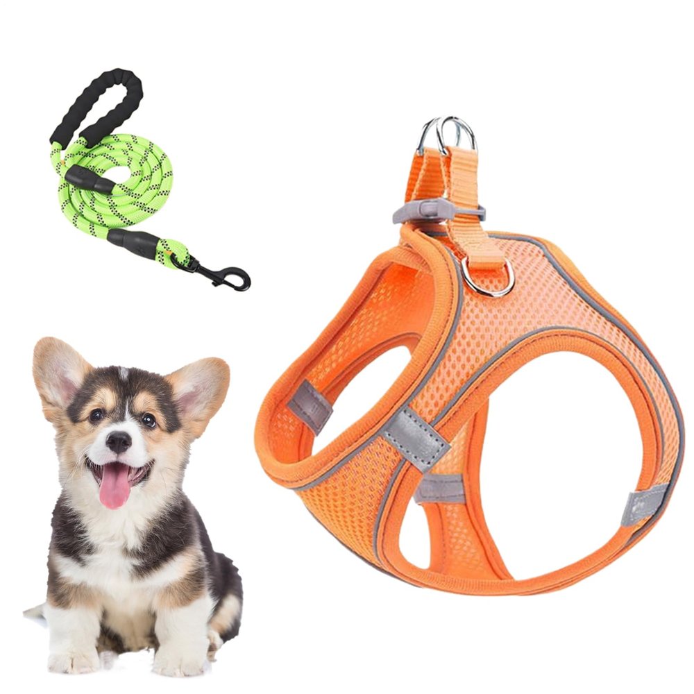 kinrguiyuez Dog Harness and Leash Set