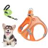 kinrguiyuez Dog Harness and Leash Set view 1
