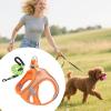 kinrguiyuez Dog Harness and Leash Set view 4