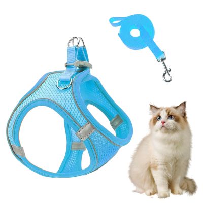 Harness and Leash Set for Small Dogs