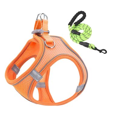 Cat Harness and Leash Set | Reflective Escape-Proof Safety Harness