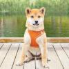 Cat Harness and Leash Set | Reflective Escape-Proof Safety Harness view 2