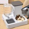 Cat Food and Water Dispenser for Small to Medium Cats view 3