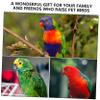 Bird Water Dispenser with Automatic Water Supply, Large Capacity view 2