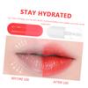 Gatuida 2-Piece Plant Extract Lip Care Set view 3