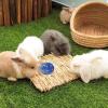 Bunny Treat Ball | Slow Feeder for Small Pets view 4