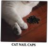 VALICLUD 20-Piece Cat Nail Caps view 3