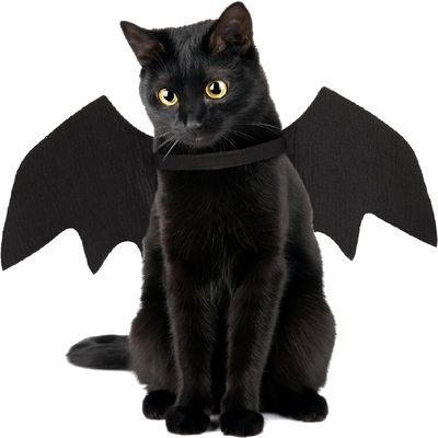 Halloween Dog Costume Bat Wings
