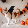 Halloween Dog Costume Bat Wings view 2