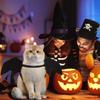 Halloween Dog Costume Bat Wings view 4