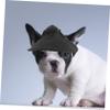WEKAMOS Lightweight Polyester Baseball Cap for Small Dogs view 4