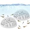 Bvizyelck Shrimp Hides for Aquariums, Safe and Natural view 1