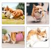 Highly Absorbent Washable Dog Belly Bands with Breathable Mesh view 2