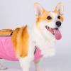 Highly Absorbent Washable Dog Belly Bands with Breathable Mesh view 3