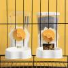Automatic Pet Waterer and Feeder for Dogs and Cats view 4