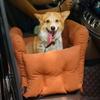 Dog Car Seat for Small and Medium Dogs with Cushion and Safety Leash (Coffee) view 2