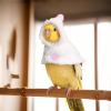 Parrot Coat | Warm Bird Clothing and Photo Prop Winter Outfit for Mynah Birds and Budgerigars view 2