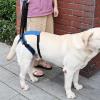 Adjustable Dog Support Harness for Mobility Assistance view 3