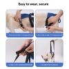 Adjustable Dog Support Harness for Mobility Assistance view 4