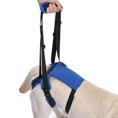 Adjustable Lift Harness for Dogs