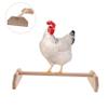 Wooden Perch for Chickens and Birds, Safe Perching Aid view 4