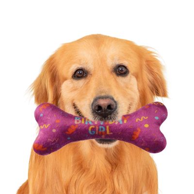 Dog Birthday Bandana with Bone Toy