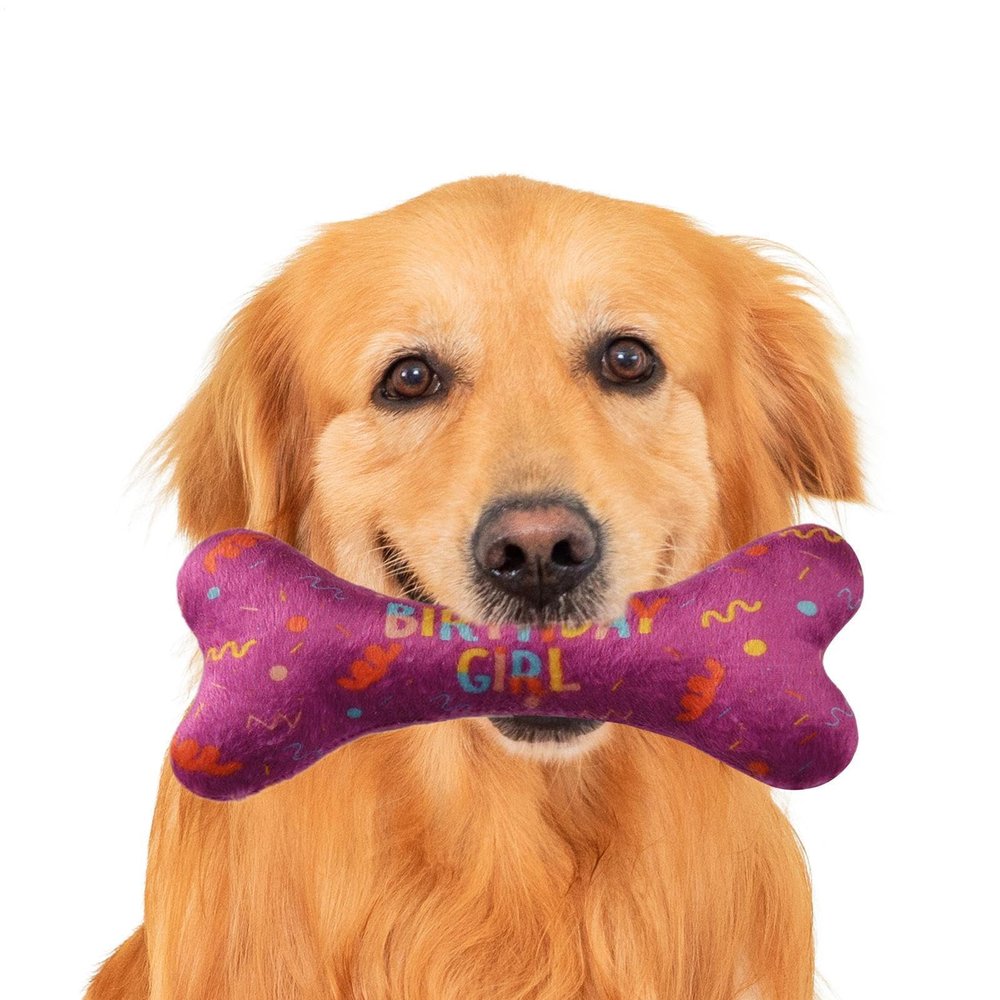 Dog Birthday Bandana with Bone Toy