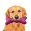 Dog Birthday Bandana with Bone Toy view 1