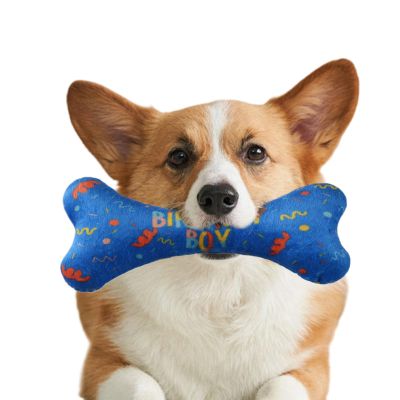 Dog Bandana | Birthday Dog Toy | Outdoor Dog Accessory with Cute Bone Print