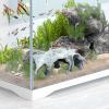 Aquarium Tunnel Hideout view 2