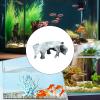 Aquarium Tunnel Hideout view 4