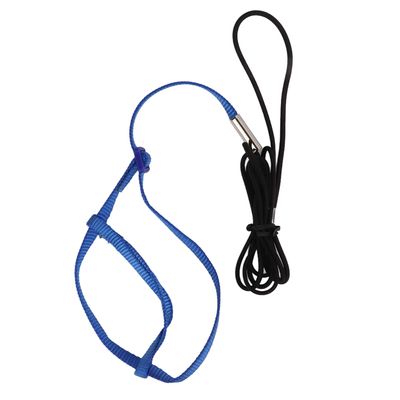 Parrot Harness Leash | Adjustable Flight Harness for Birds, Parrots & Cockatiels | Strong Metal Chain, Portable Design (Blue)