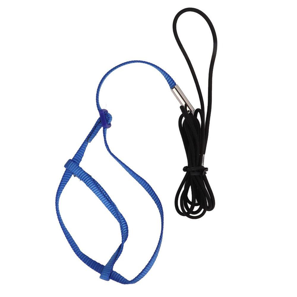 Parrot Harness Leash | Adjustable Flight Harness for Birds, Parrots & Cockatiels | Strong Metal Chain, Portable Design (Blue)