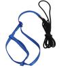 Parrot Harness Leash | Adjustable Flight Harness for Birds, Parrots & Cockatiels | Strong Metal Chain, Portable Design (Blue) view 2