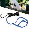 Parrot Harness Leash | Adjustable Flight Harness for Birds, Parrots & Cockatiels | Strong Metal Chain, Portable Design (Blue) view 3