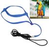 Parrot Harness Leash | Adjustable Flight Harness for Birds, Parrots & Cockatiels | Strong Metal Chain, Portable Design (Blue) view 4