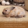 2-Pack Sisal Scratching Mat for Rabbits view 4
