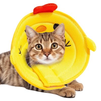 Huayeex Cat Recovery Collar
