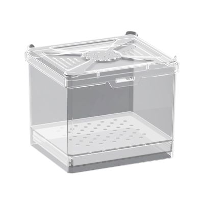 Spider Enclosure for Jumping Spiders with Feeding Container