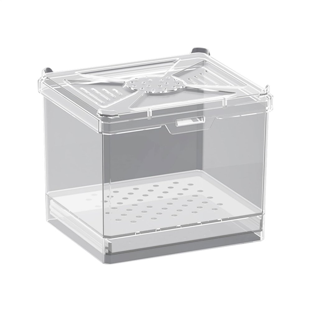 Spider Enclosure for Jumping Spiders with Feeding Container