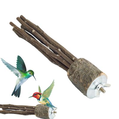 Wooden Bird Perches | Bird Platforms | Wooden Stand Toys