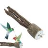Wooden Bird Perches | Bird Platforms | Wooden Stand Toys view 1