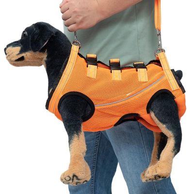 Dog Harness for Hind-Leg Support and Mobility Assistance