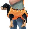 Dog Harness for Hind-Leg Support and Mobility Assistance view 1