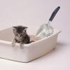 Aluminum Cat Litter Scoop with Long Handle view 2